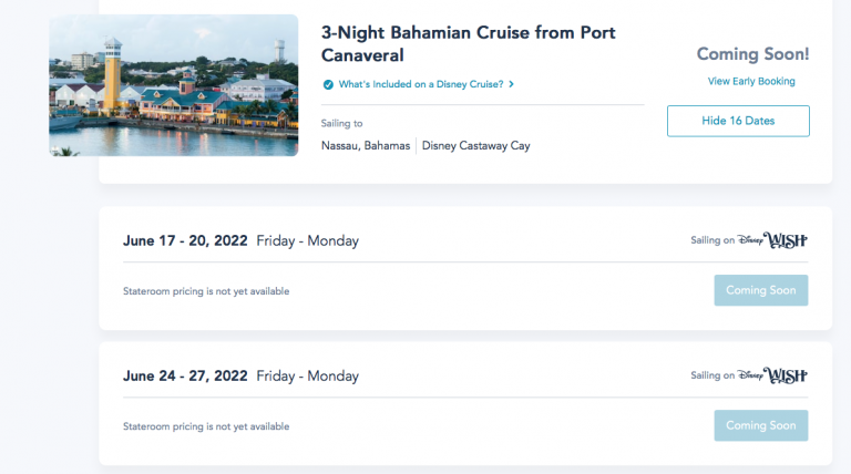 disney wish 4 night cruise itinerary