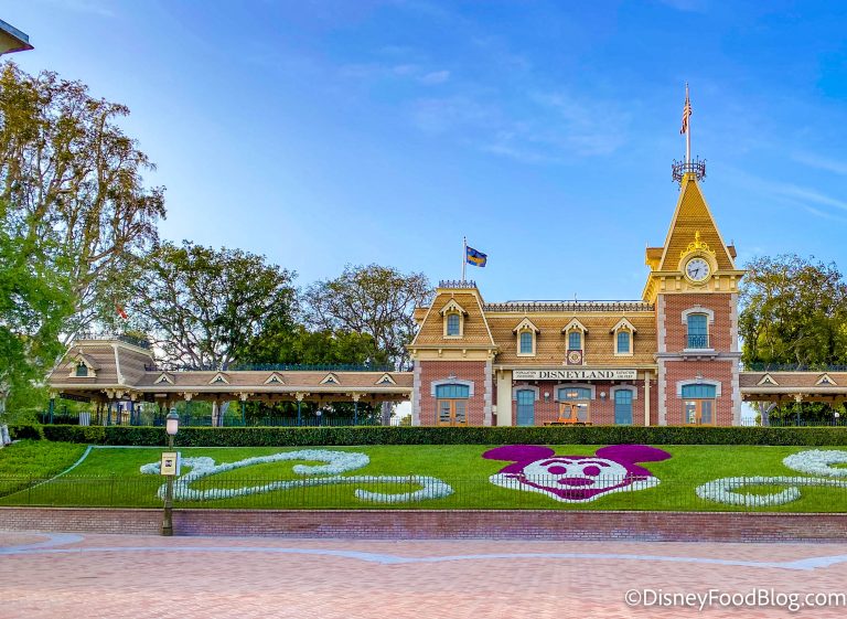 PHOTOS: ALL the Magic Is Back Disneyland Merchandise | the disney food blog