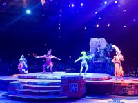 Festival of the Lion King Has Returned to Disney World — Here's How It ...