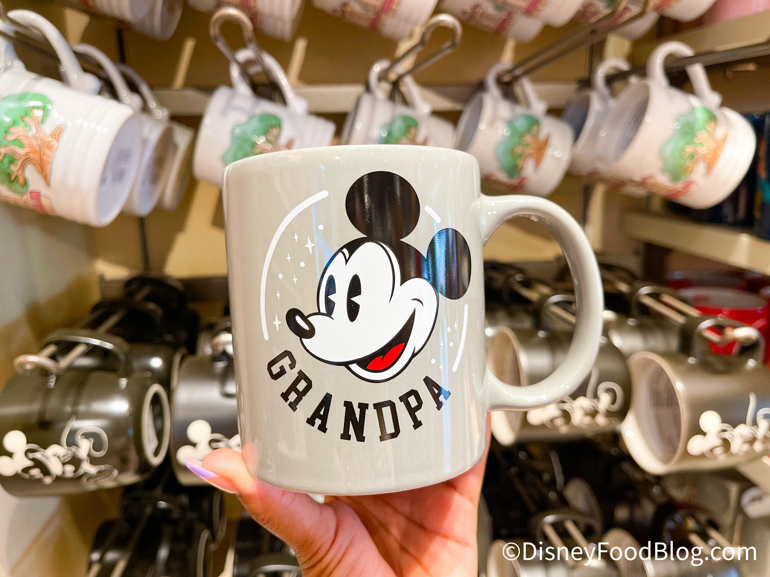 I'm not a Regular Grandma I'm a Disney Grandma Coffee Mug