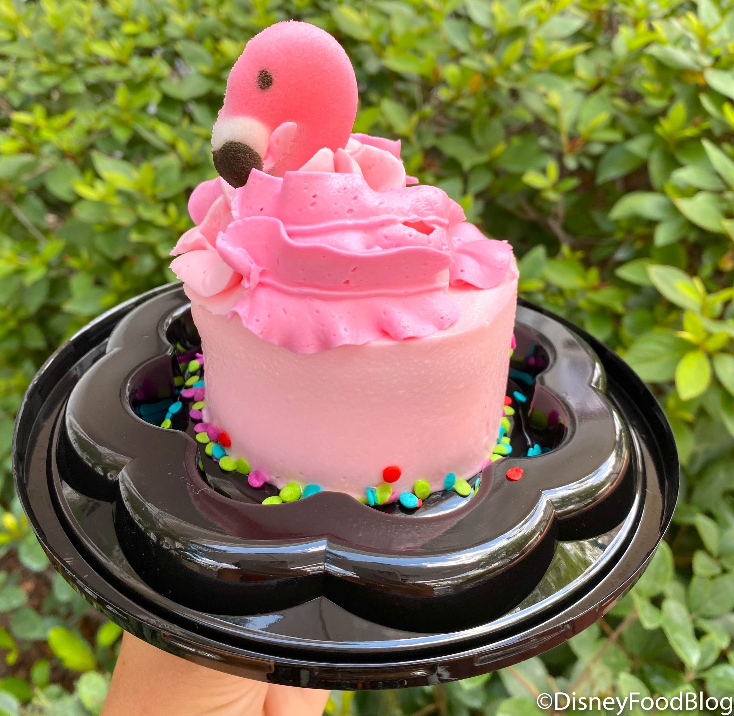 Review Disney World S New Flamingo Treat Is For Mega Frosting Fans The Disney Food Blog