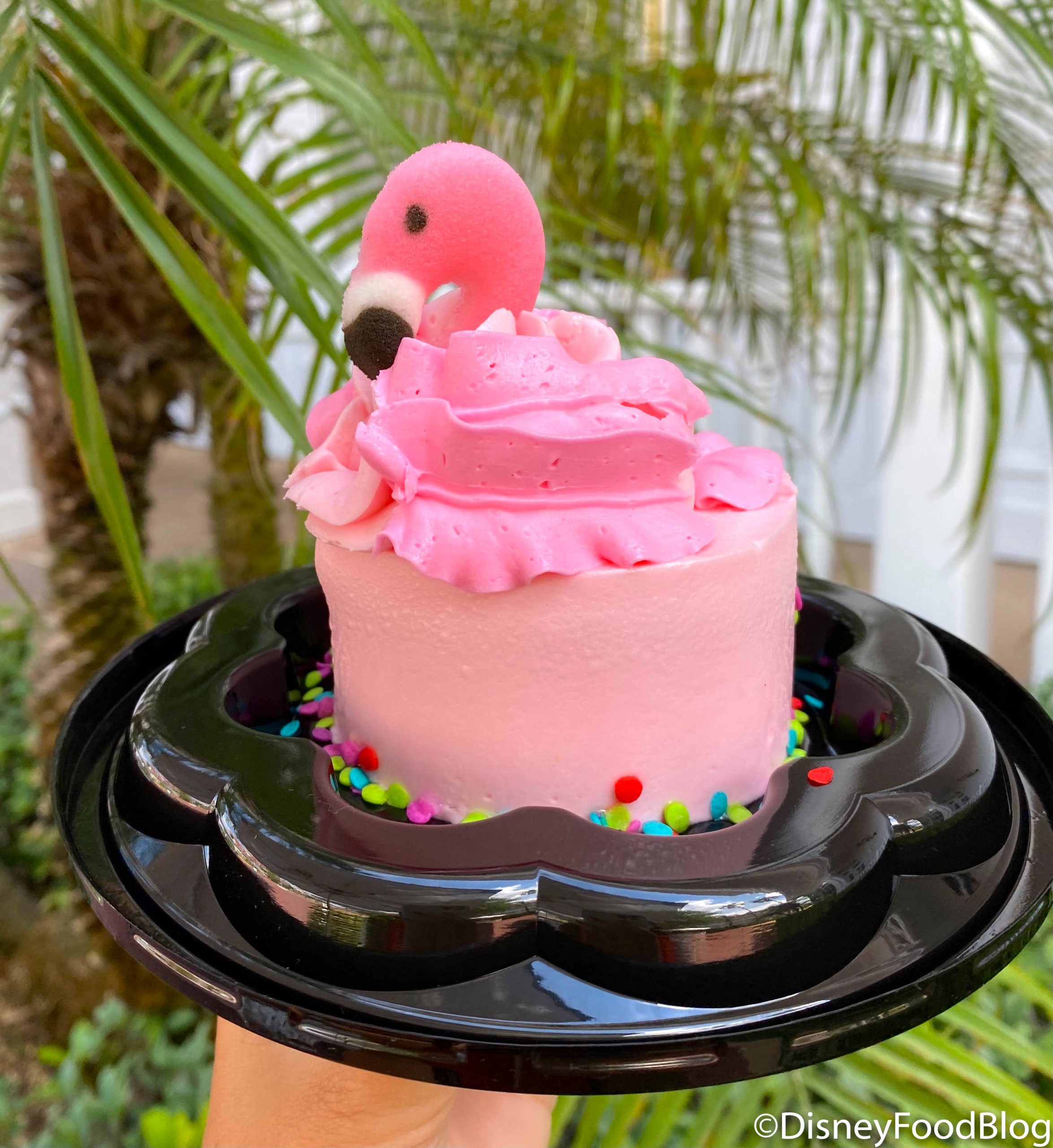 Review Disney World S New Flamingo Treat Is For Mega Frosting Fans The Disney Food Blog