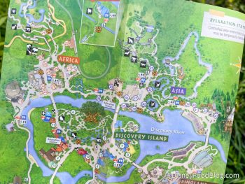 See What Has Changed on the NEW Map for Disney's Animal Kingdom! | the