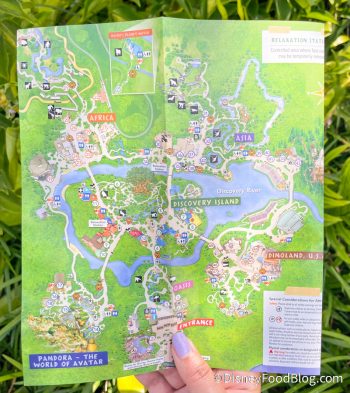 What's New at Animal Kingdom: Hidden Dole Whip, a Price Increase, and a ...