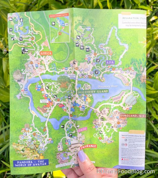 See What Has Changed on the NEW Map for Disney’s Animal Kingdom
