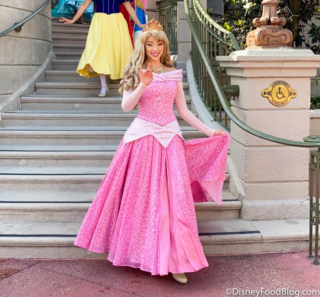The SECRET Way to See Most of the Princesses at Once in Disney World!