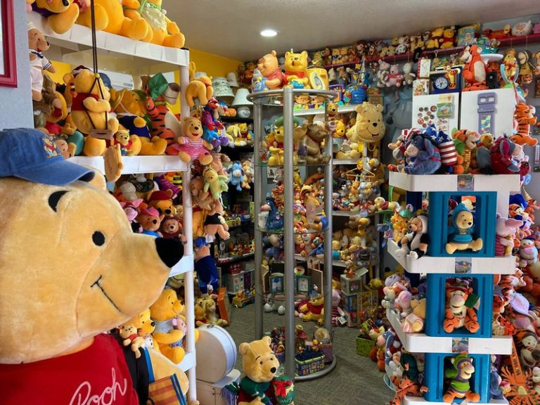 PHOTOS: Over 20,000 Pieces of Disney Merch?! See the Record-Breaking ...