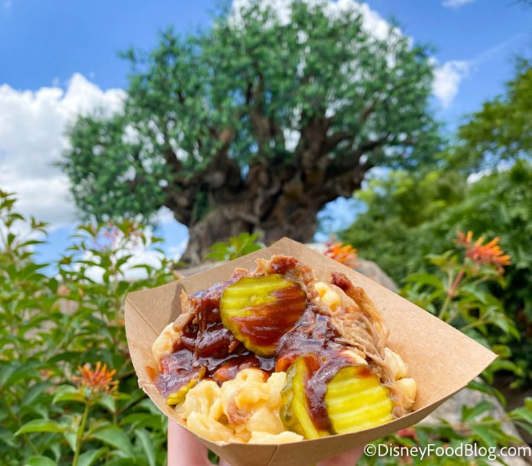 The 15 Best Snacks for UNDER $10 in Disney World | the disney food blog