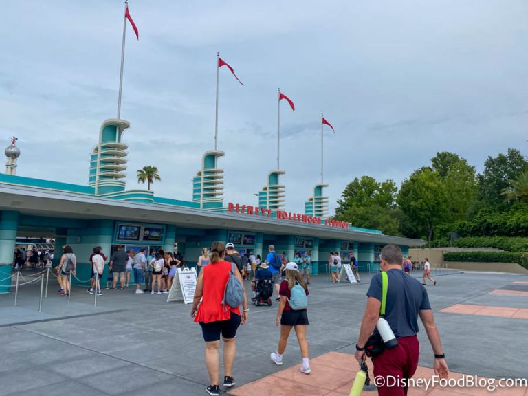 How to Choose the Right Disney World Tickets For YOU | the disney food blog