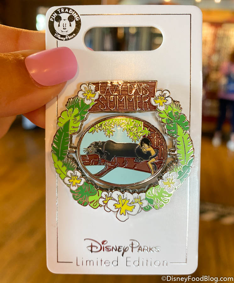 What's New in Magic Kingdom: FastPass Kiosk CHANGES and Surprising Pins ...