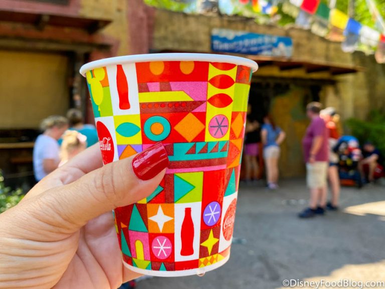 Everywhere You Can Find FREE Water in Disney World | the disney food blog