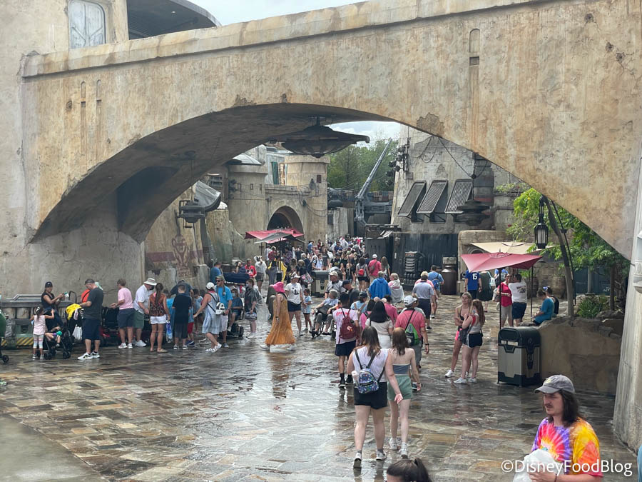 ALL RIDES & ATTRACTIONS Outdoors CLOSED to Guests as Wild Storm Suddenly  Strikes Disney Parks Resort - Disney Dining