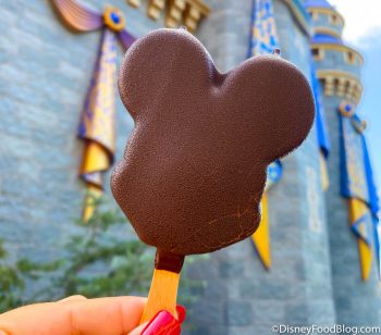 Why YOU Won't Go to Disney World in 2023 | the disney food blog