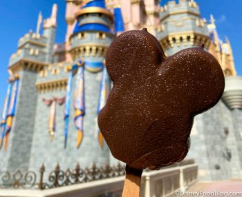 The 15 Best Snacks for UNDER $10 in Disney World | the disney food blog