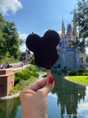 How to Stay in a Disney World Park for 18 Hours | the disney food blog