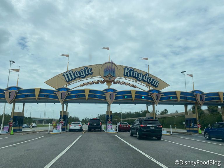 how to get from disney world parking lot to magic kingdom