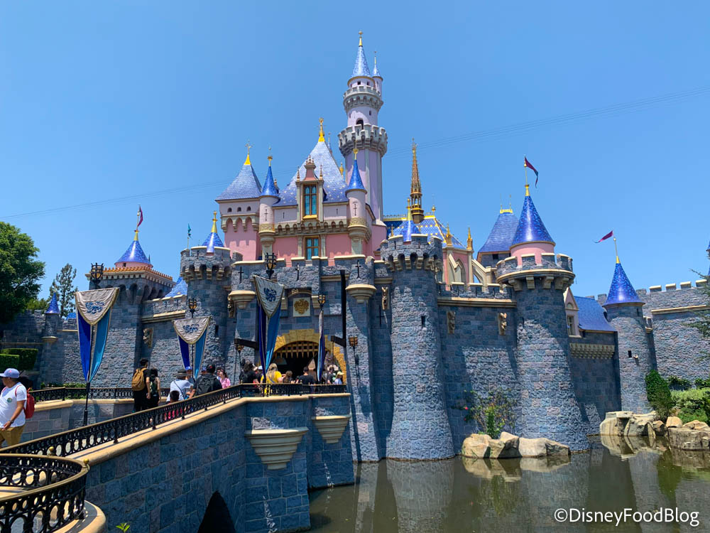 Disney Coffee Mug - Walt Disney World Attractions Skylines