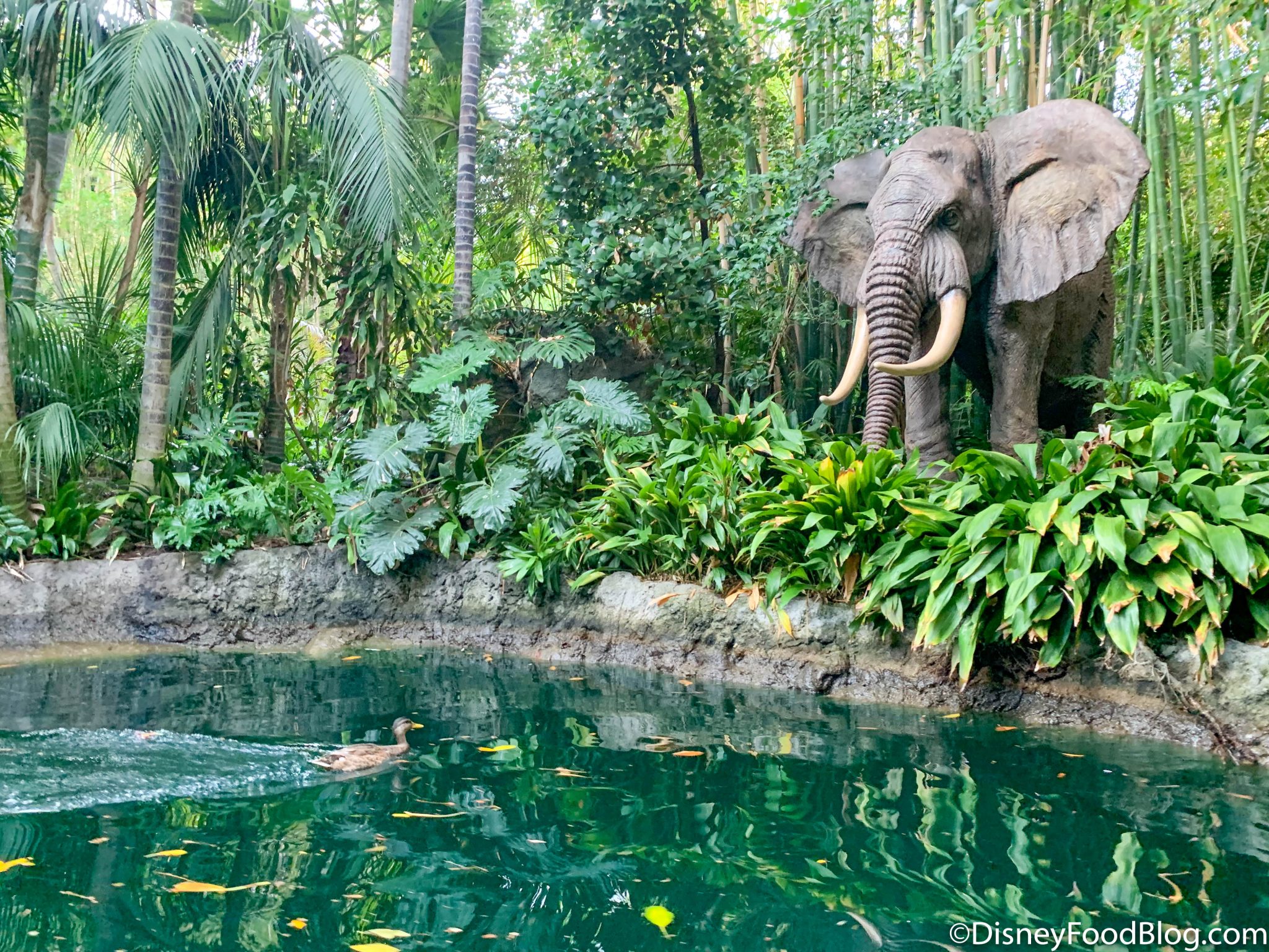 FIRST LOOK at the Reimagined Jungle Cruise Ride in Disneyland! - Disney by Mark