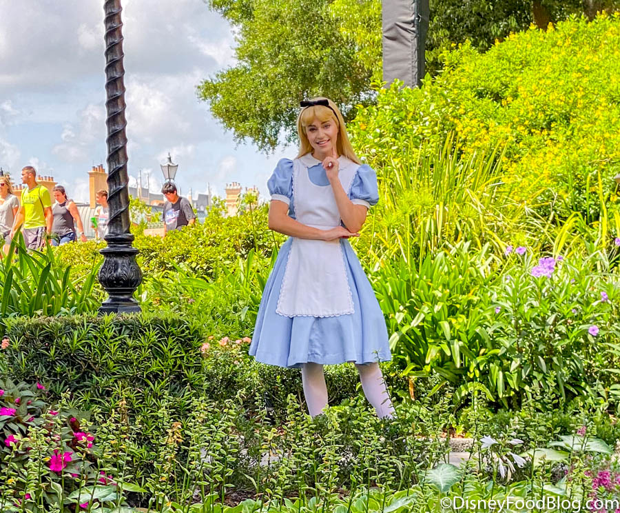 Disney Alice and White Rabbit by Mary Blair 70th Plush Set