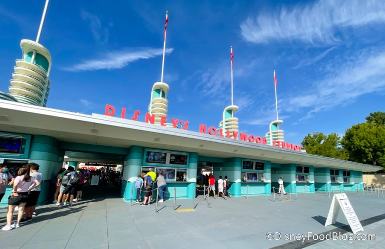 What's New in Hollywood Studios: Mugs for Every Mood and PRICEY Ears ...