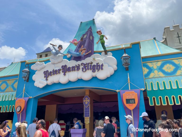 PHOTOS: See the Progress on 11 BIG Construction Projects in Disney ...