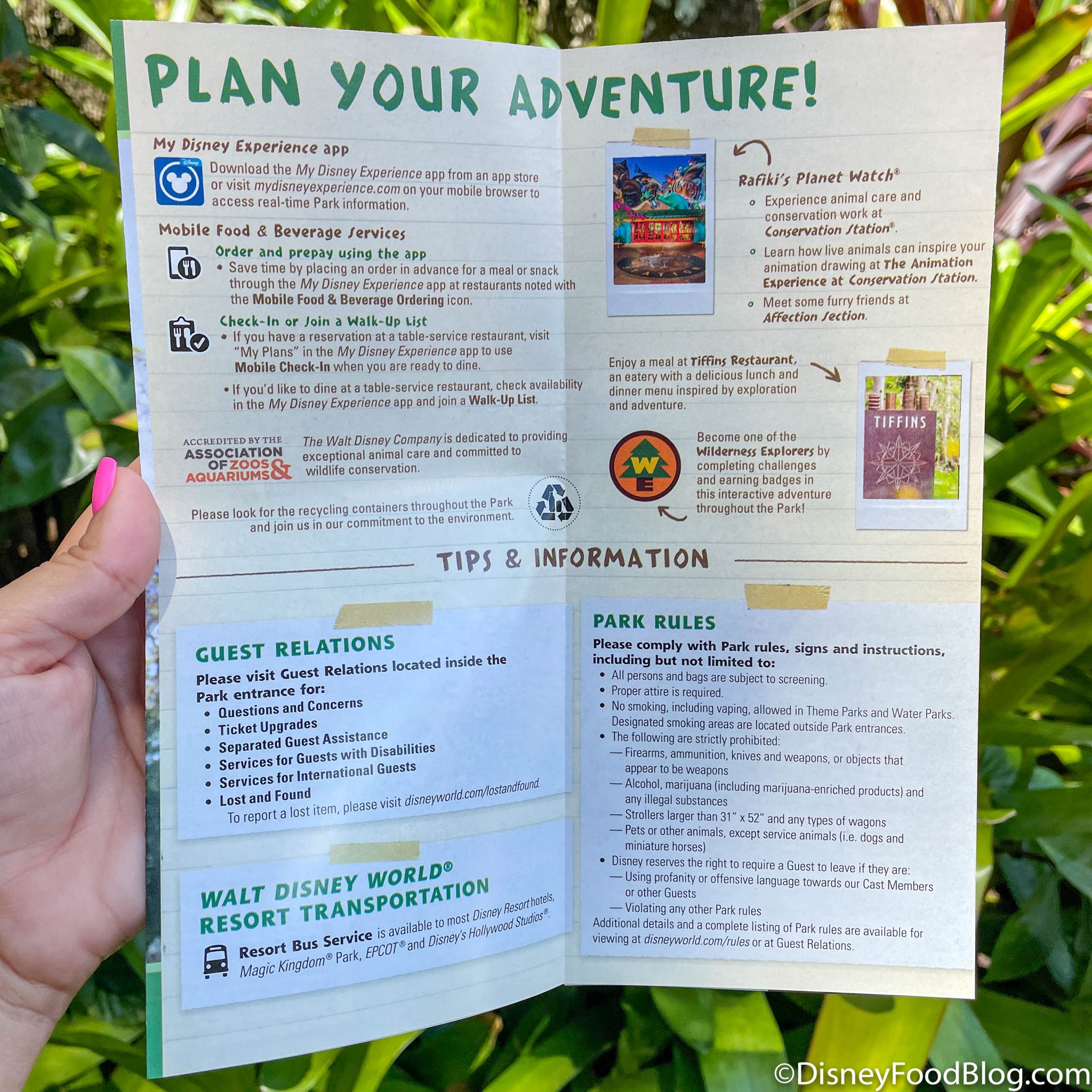 PHOTOS: See Animal Kingdom's NEW Park Map | the disney food blog