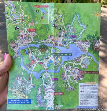 PHOTOS: See Animal Kingdom's NEW Park Map | the disney food blog