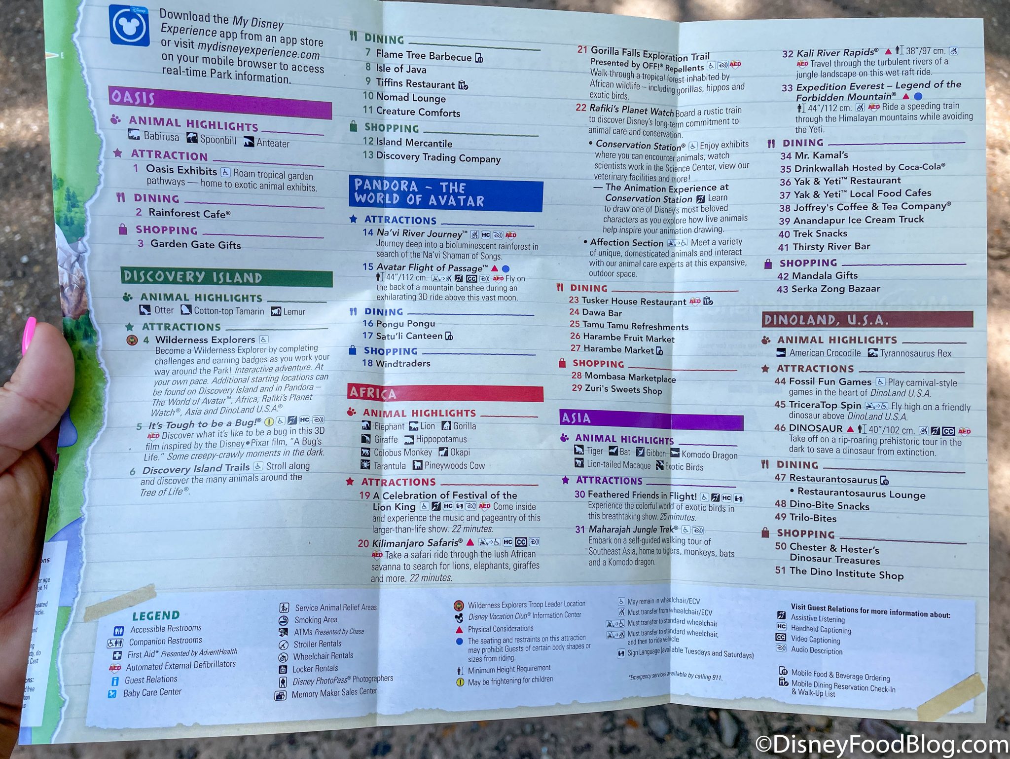 PHOTOS: See Animal Kingdom's NEW Park Map | the disney food blog