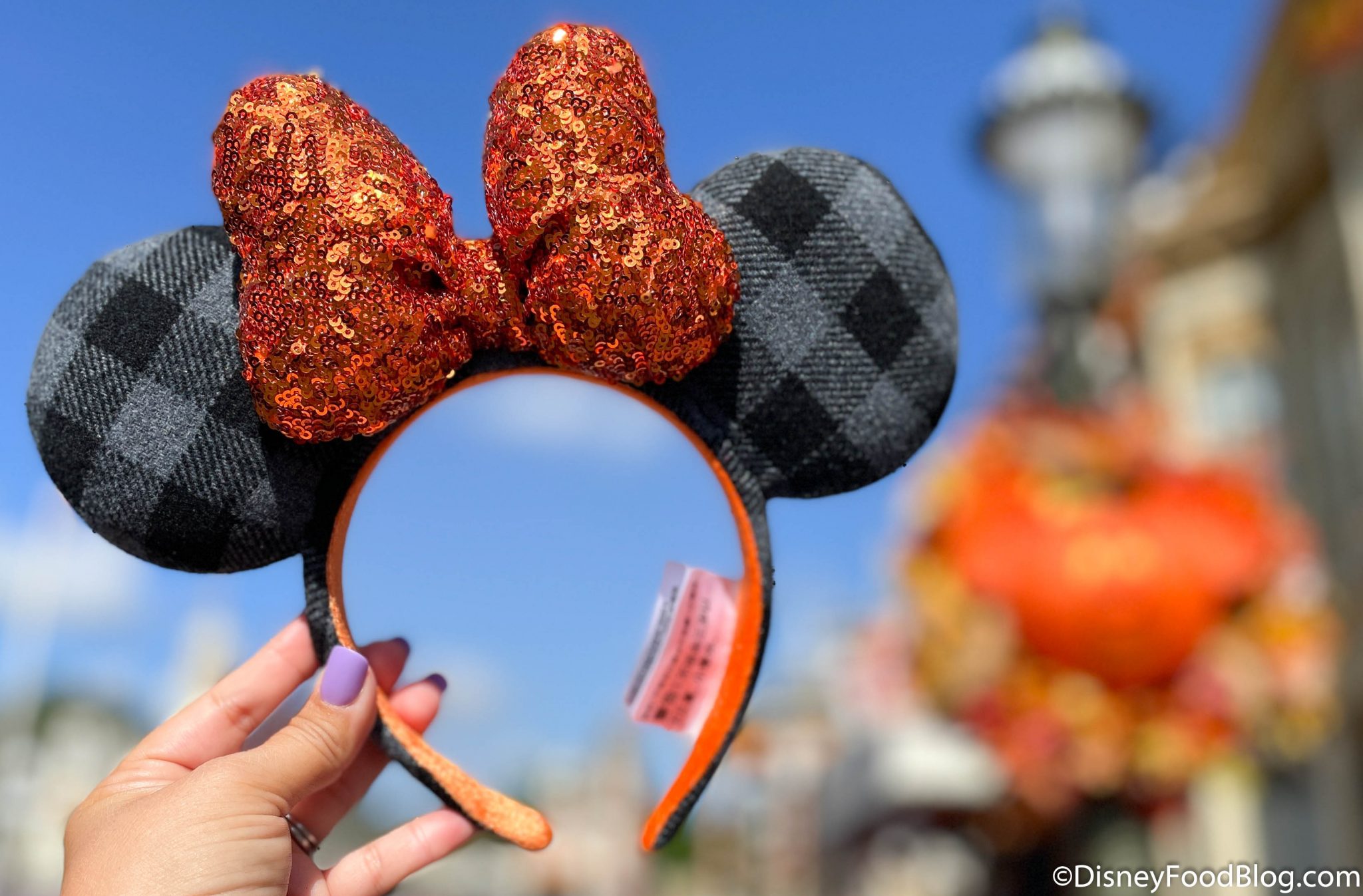 PHOTOS! How Are We Supposed to Pick Between Disney World's New Halloween Ears? 🎃 the disney