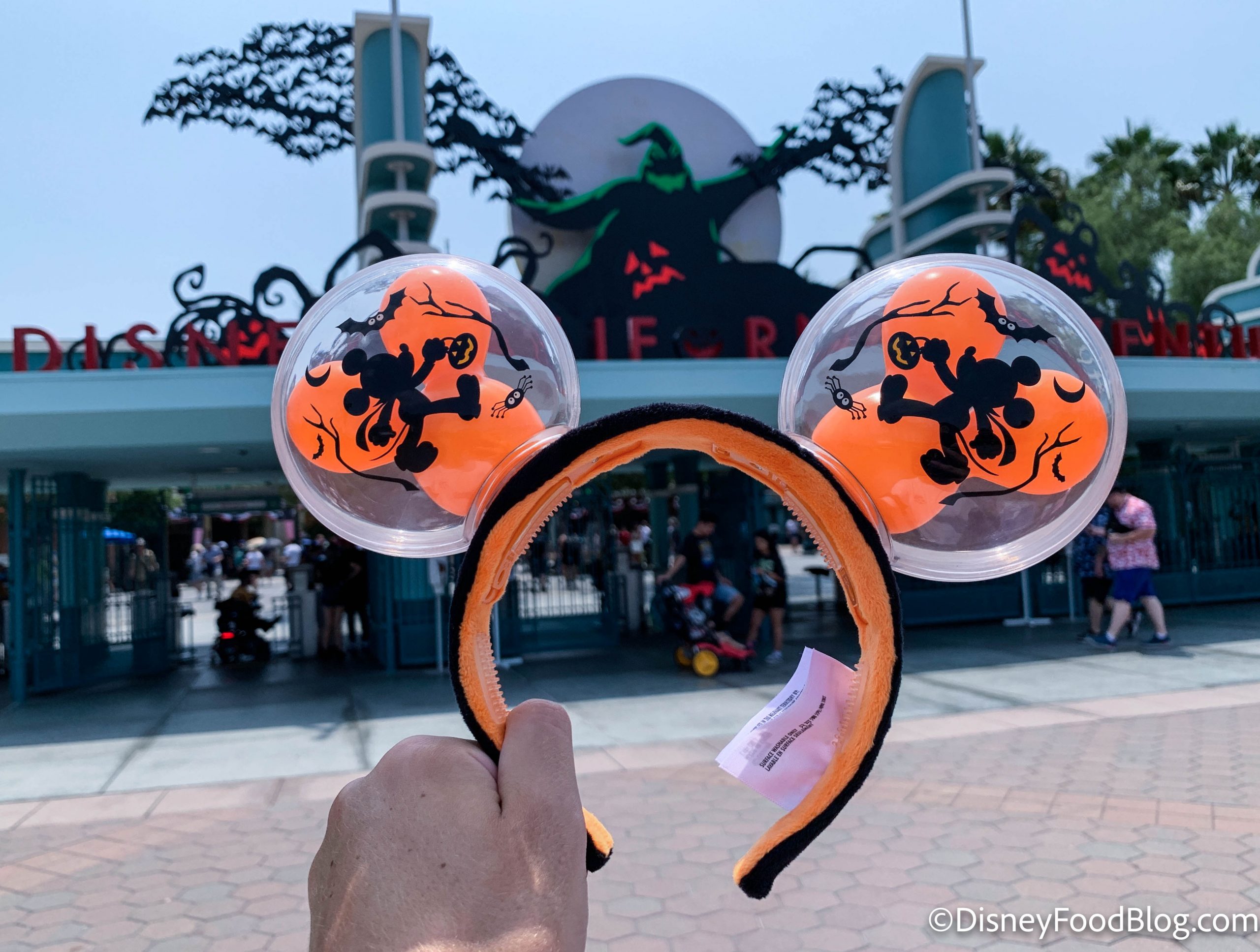 Mouse Ears Balloons Disneyland Disneyworld