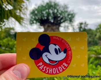 BREAKING: NEW Annual Pass Program Announced For Disney World…And There ...