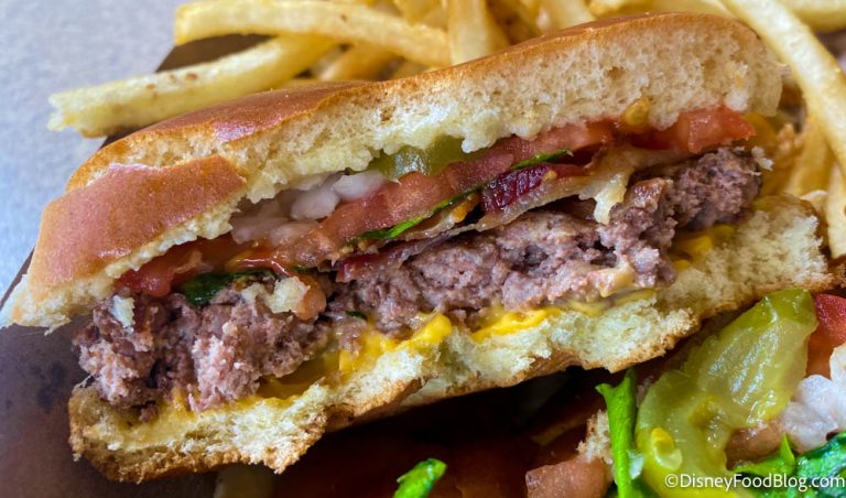 EVERY. SINGLE. BURGER. You Can Get in Disney World and Disneyland🍔 ...