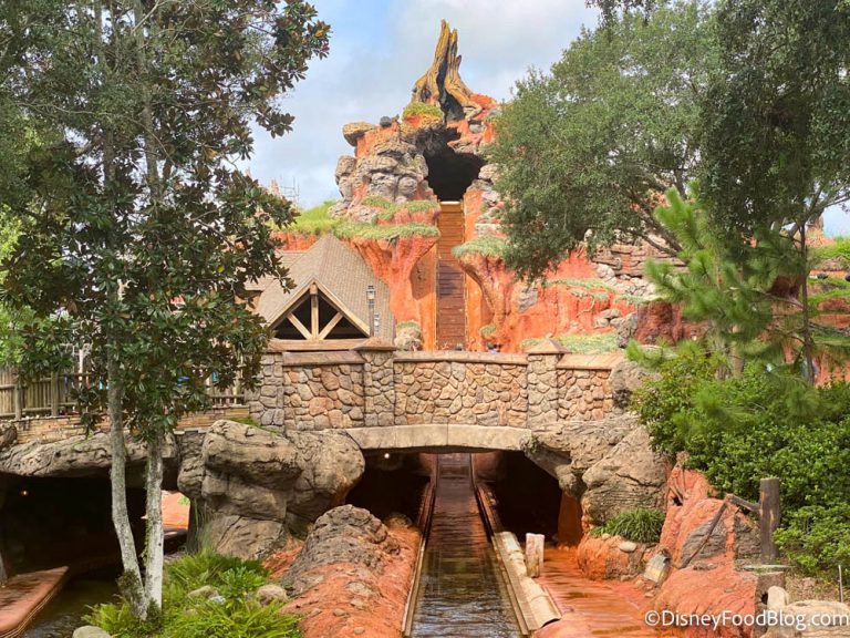 PHOTOS Splash Mountain Has Been CLOSED All Day in Disney World