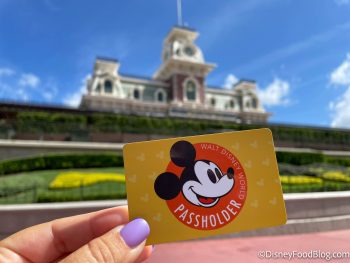 Pros and Cons of Disney World's New Annual Pass System | the disney ...