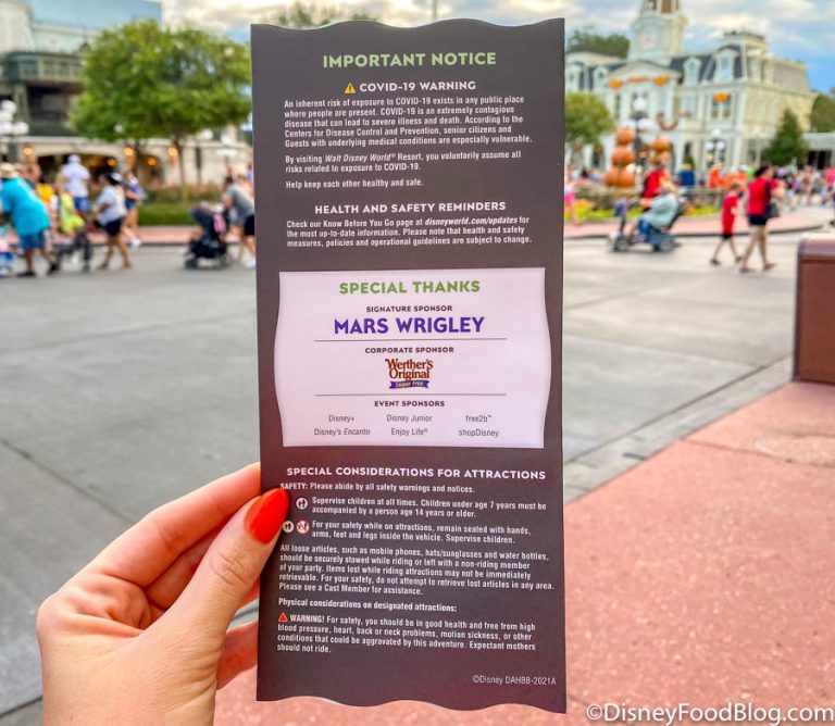 An Ultimate Guide to the BOO Bash Halloween Event in Disney World | the ...