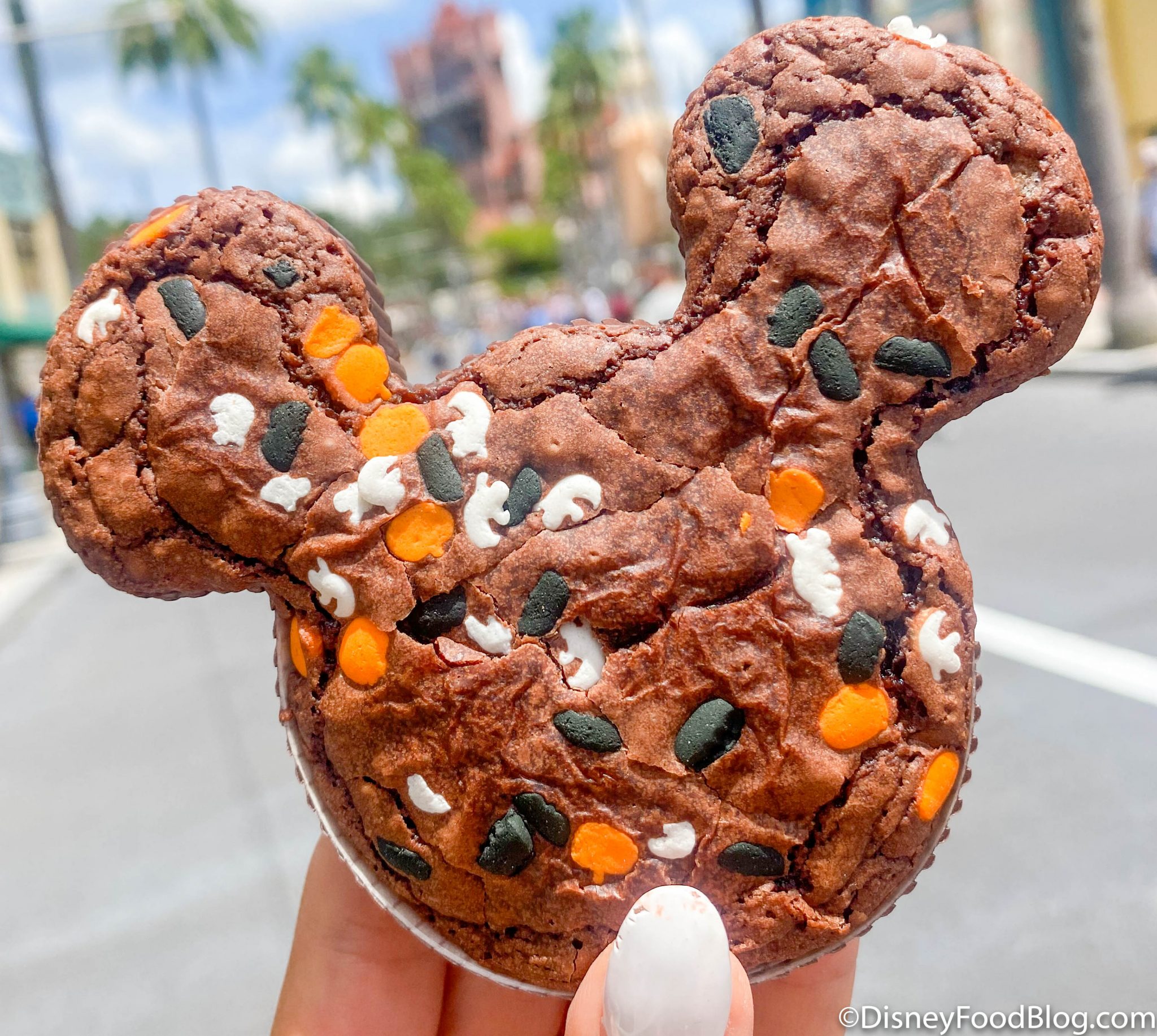 What's New at Disney's Hollywood Studios 13 Halloween Treats, a Purple