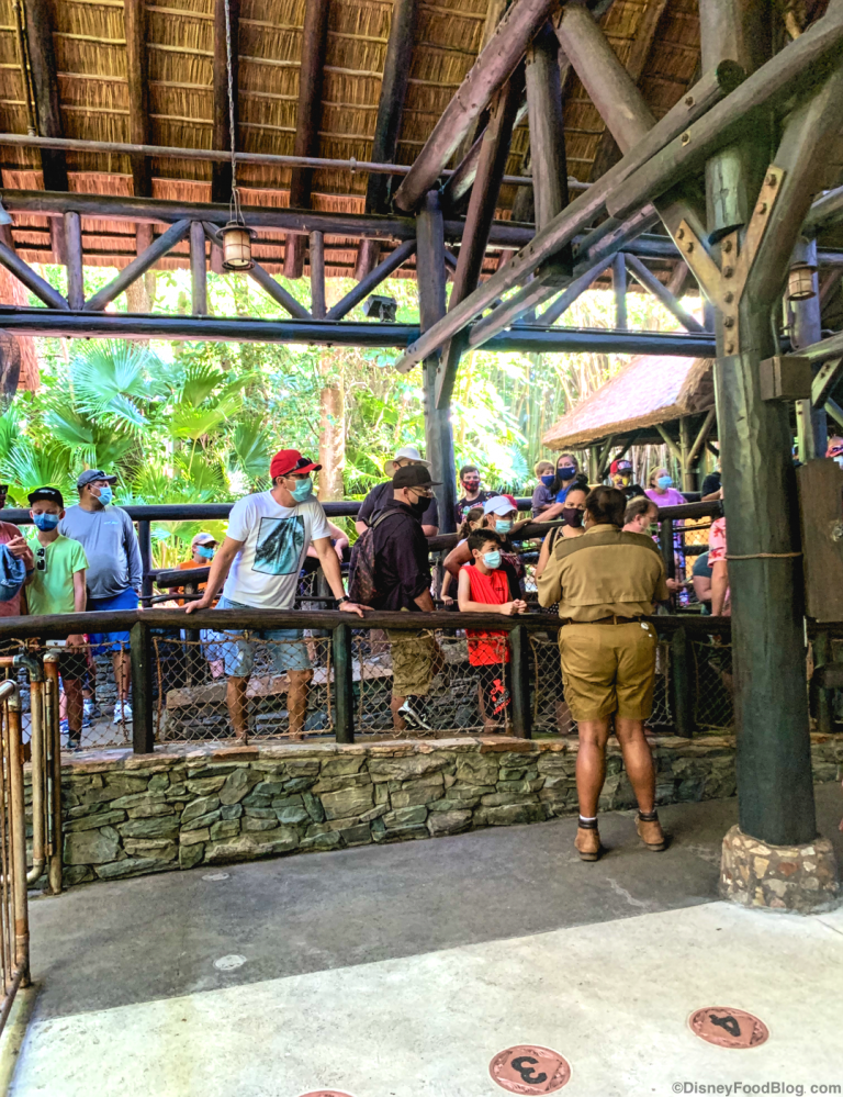 kilimanjaro safaris closed