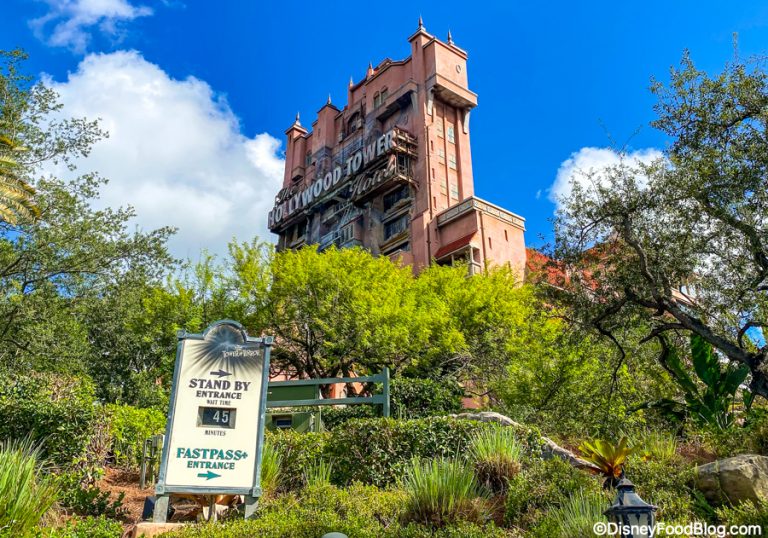 The 15 Most IRRATIONAL Disney World Fears of the DFB Team | the disney ...