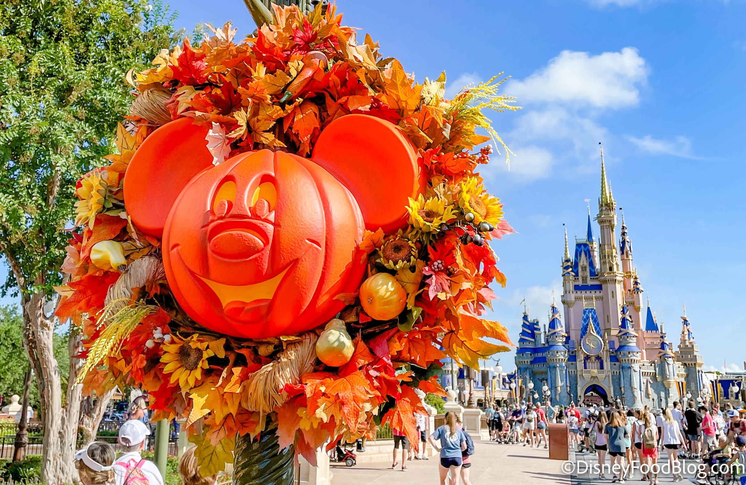 https://www.disneyfoodblog.com/wp-content/uploads/2021/08/wdw-2021-magic-kingdom-halloween-fall-decorations-mickey-pumpkins-wreaths-general-stock-atmosphere-7-scaled.jpg