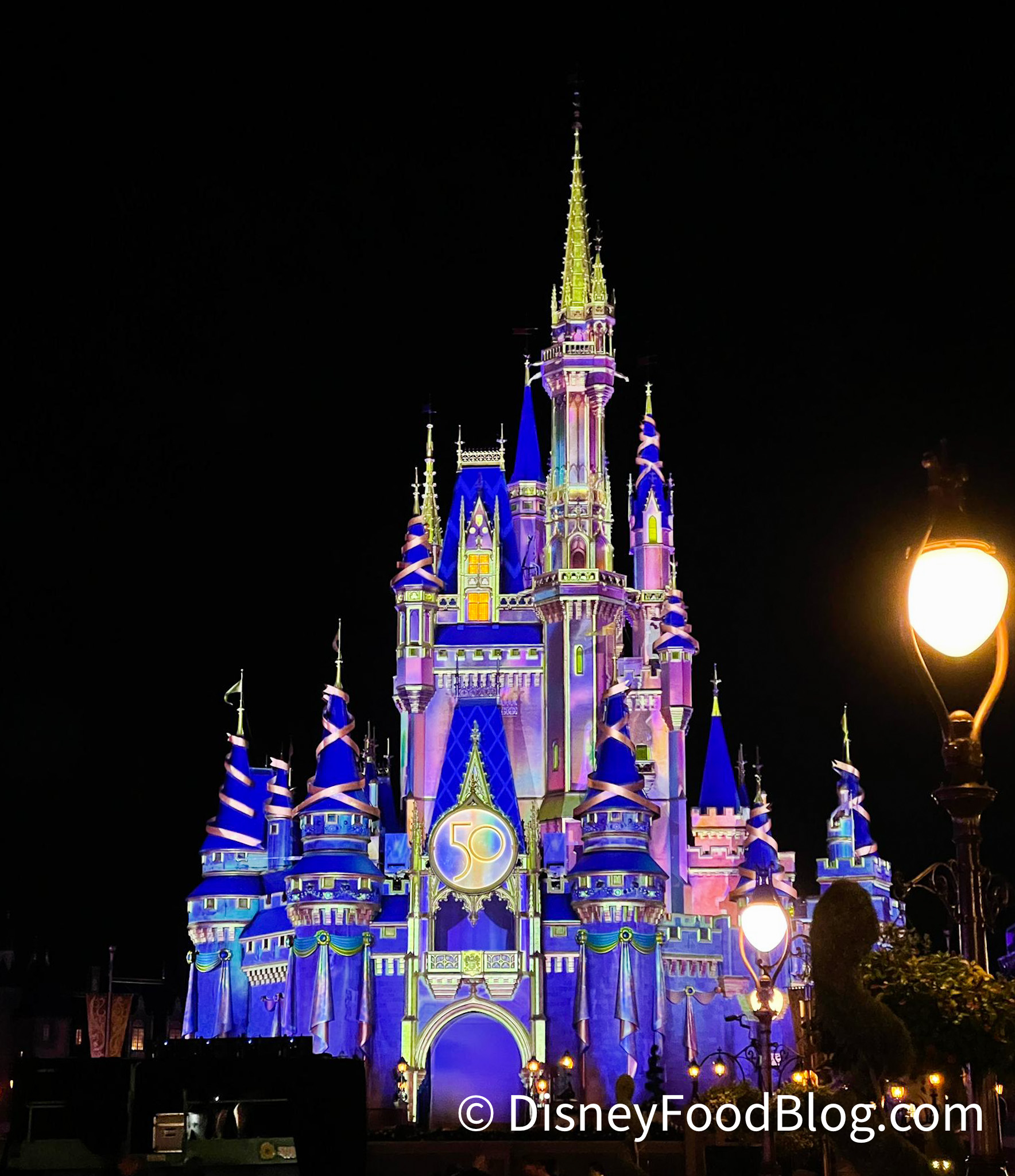 tangled castle at night