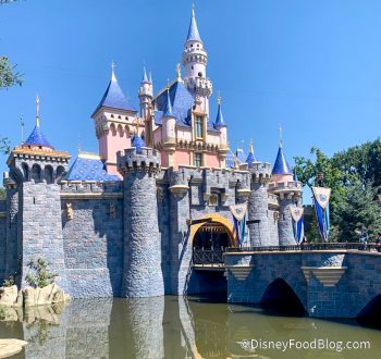 REVIEW: Well, Strawberry Lemonade Funnel Cake Was Not on Our Disney ...