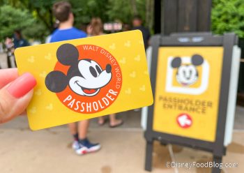 The ULTIMATE Guide to Planning A Walt Disney World Vacation | the ...