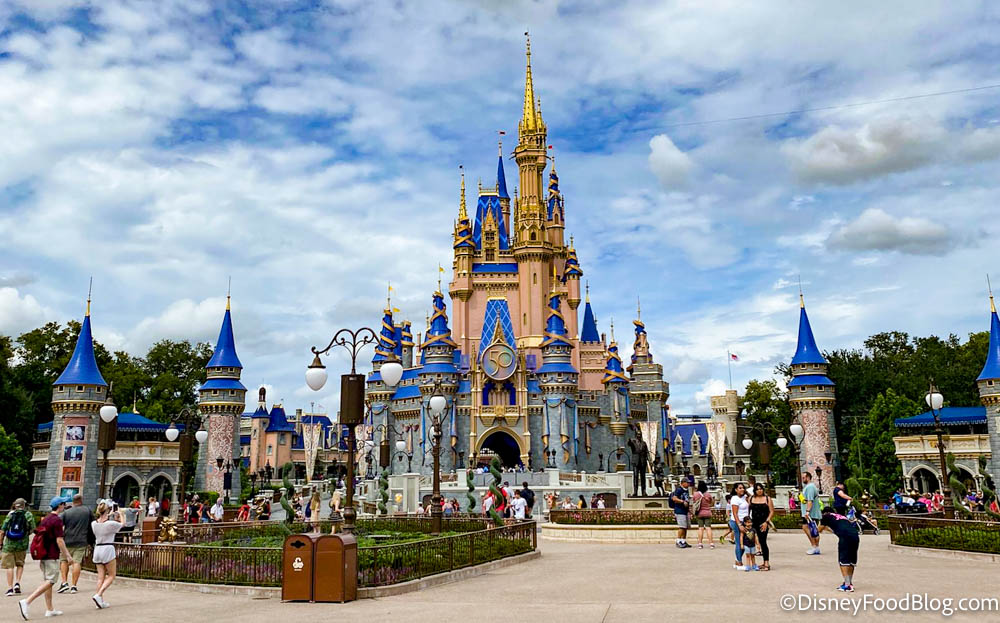 Disney Theme Park Reservations