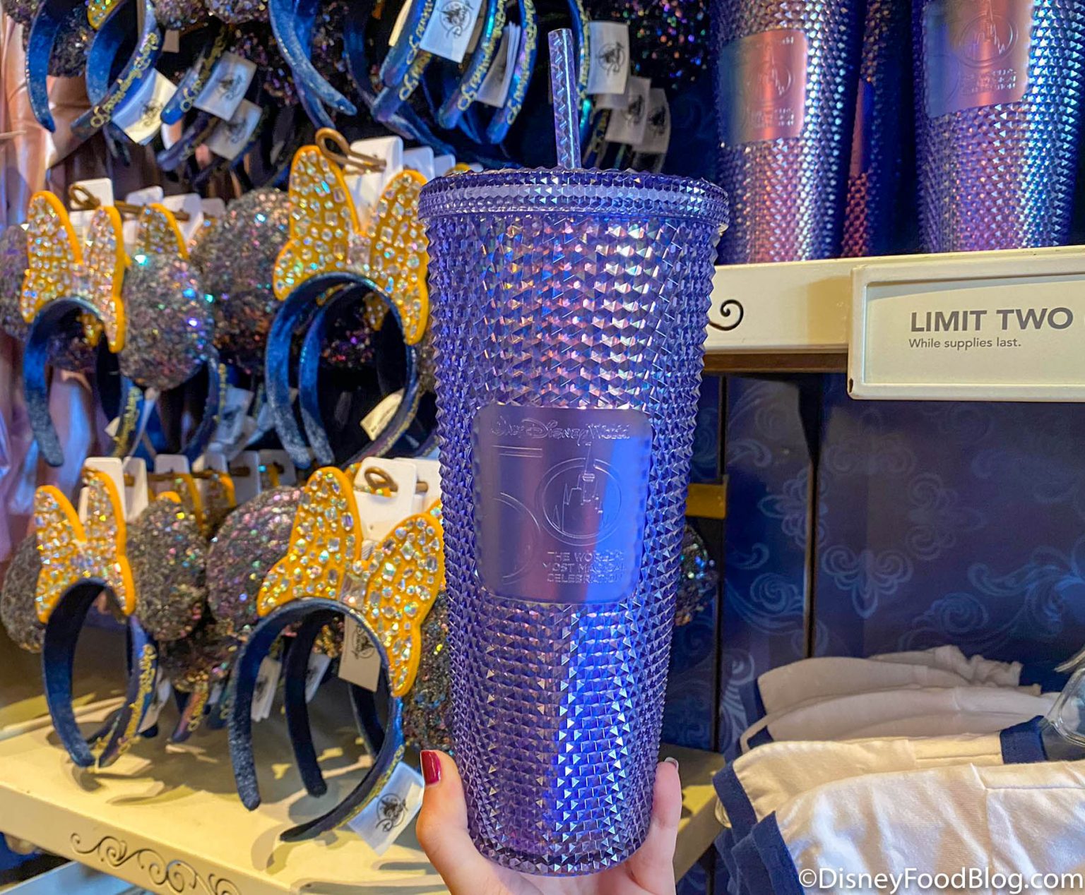 photos-a-new-starbucks-tumbler-has-arrived-for-disney-world-s-50th