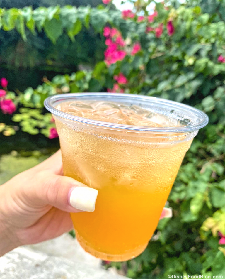 POG Juice is BACK With a NEW Supplier in Disney World (And We Have Some ...