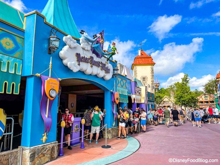 What Exactly is Rope Drop in Disney World and How Can YOU Do It Like a ...