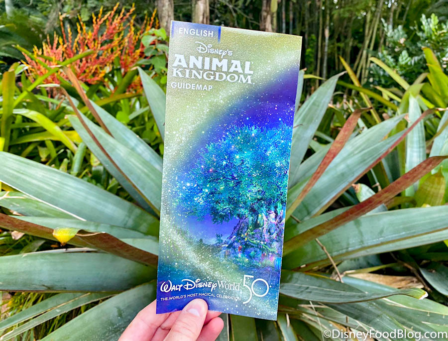 PHOTOS! See ALL FOUR New Park Maps in Disney World! | the disney