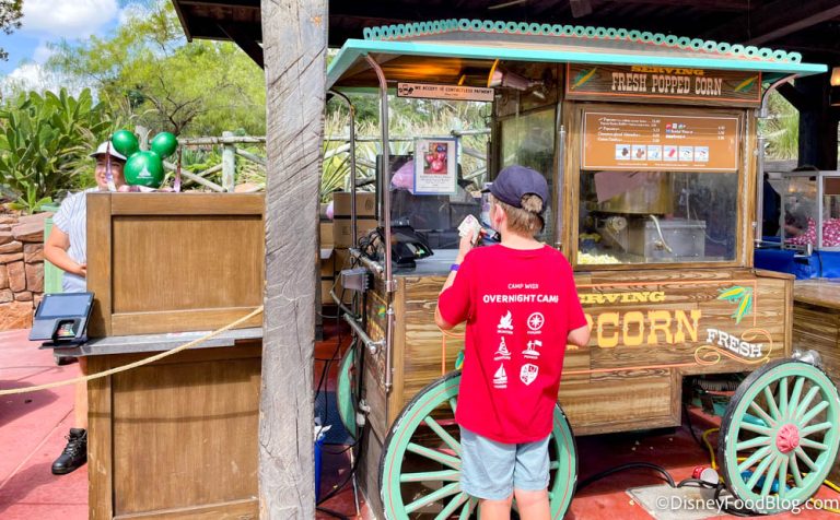 This is NOT a Drill: The SOLD OUT Mickey Balloon Popcorn Buckets are ...