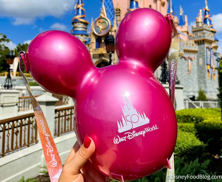 Every Single🍿Popcorn Bucket🍿You Can Get in Disney World Right Now