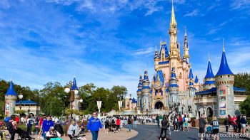 What's New in the Magic Kingdom: Celebrity Sightings and Merchandise ...